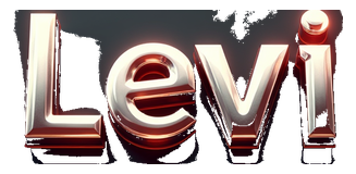 levi logo